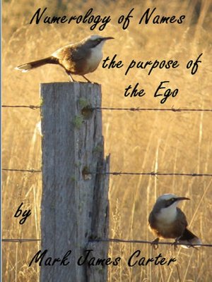 cover image of Numerology of Names